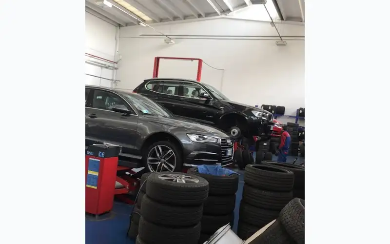 Foto dell'officina Max Gomme - Pianezza