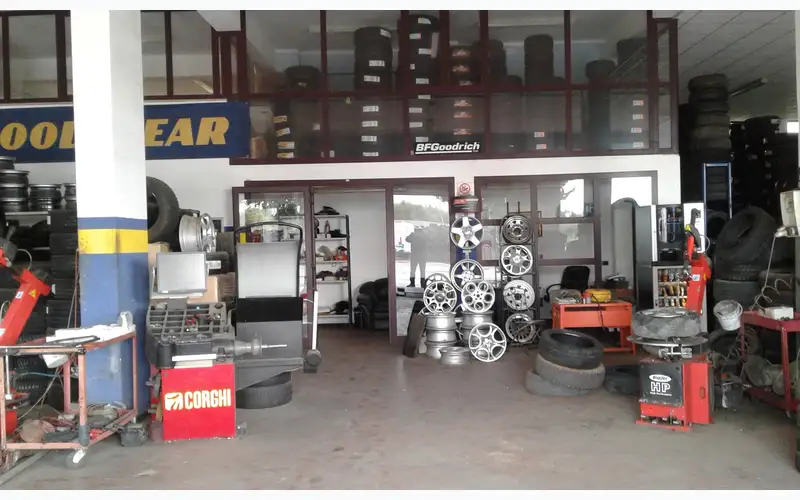 Foto dell'officina Pneuscucci